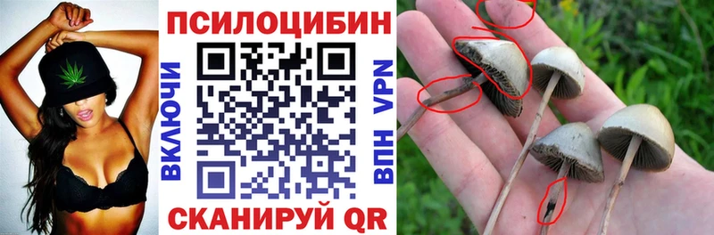Псилоцибиновые грибы ЛСД  что такое   Жиздра 