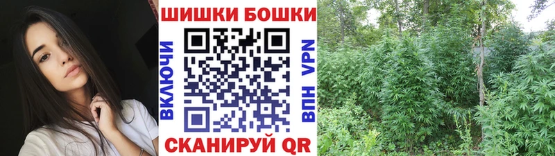 Бошки Шишки Amnesia Жиздра